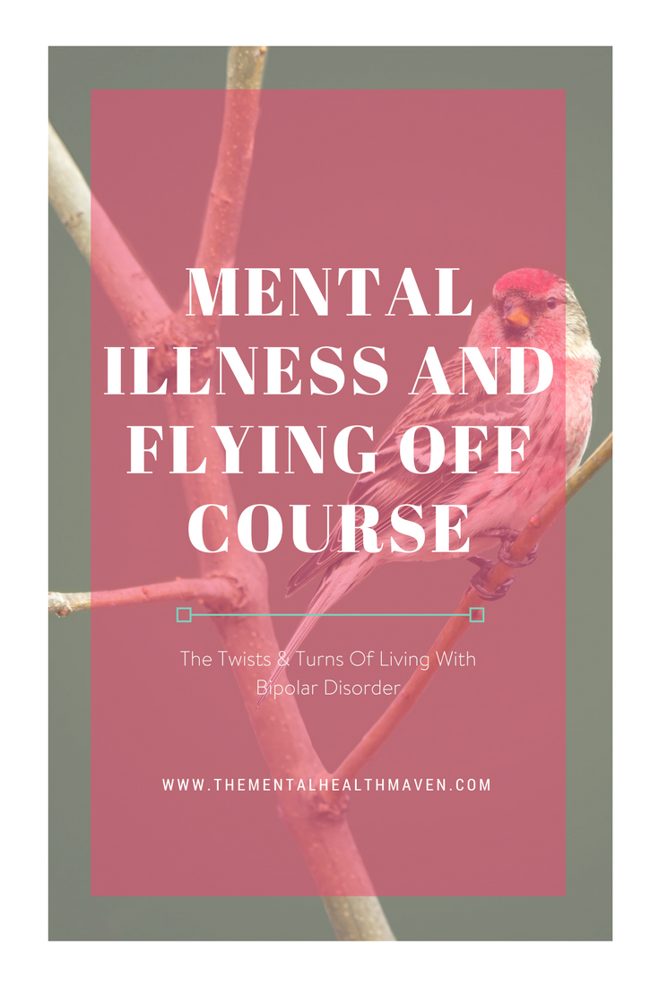 Mental Illness and Flying Off Course